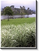 Caerphilly Castle, 439x591 pixels (82.5K)