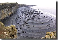 Panorama pic of Southerndown, Wales [202K] >>