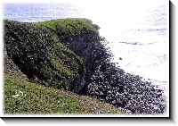 Southerndown cliffs, 983x679 pixels (208.8K)