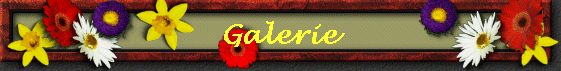 Galerie